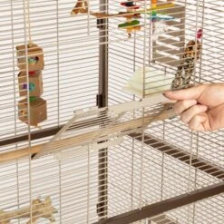 Montana Cages Voliere Paradiso 90 Schoko -Zoofachgeschäft 8a51e1e8340559f25f4320aa285908e55a235d2f 1200892 de DE 0576ffe209ea05253ebe1a6e08466fe13ae3f4a3jFC7T8