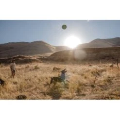 Ruffwear Hover Craft™ Spielzeug Orange -Zoofachgeschäft 8b74389fdbc592fa493fa8449b24cad477f71e65 1364297 de DE d7bfcddc5967d79946d8e13f648d6053d56005c9XiBl8J