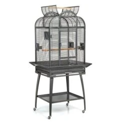 Montana Cages Voliere Havana Dunkelgrau -Zoofachgeschäft 8c5dda96dcd1ea5fa941a34eb267552d97b45cb0 1070399 de DE cb0ae5e208fd4e2582ee831e9287d89255e31f8050vrNy