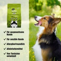 Eat Small EatSmall 2kg Maxi Active Trockenfutter -Zoofachgeschäft 8ce5231807dbcfa11bfebbb58ab3376db975810f 1450723 de DE 045556f8e417da90be61f538db133a32cf0ddbabSrtas7