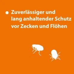 Ardap Spot-On Für Ziervögel & Brieftauben -Zoofachgeschäft 90b554efc21e705ba0ec273c3d72d9807137e3cf 1227326 de DE 8007938c2102583d14c431d45d2c4f4cb2b711f9sLEwOt