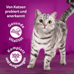 Whiskas Tasty Mix Multipack Chef's Choice In Sauce 40 X 85g -Zoofachgeschäft 90c69f8b60998b1e42a320aa3c632d7b173d2464 1410720 de DE Whiskas 7
