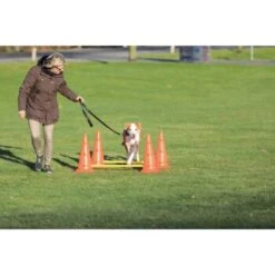 Trixie Dog Activity Hindernisse Ø30x50cm -Zoofachgeschäft 91cbc45b90b8a0cfe868659f3dcf31f8aff28e6a 1287033 de DE Trixie Hindernisse wb 2