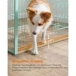 FEANDREA Welpenauslauf 4-teilig Schwarz Mintgrün -Zoofachgeschäft 9309392d7cb4389d83a39fc6dbb20378aeb31adf 1500915 de DE d17e1153ac97c90e9e57d018e3e78bdade2a7f61y3I5DK