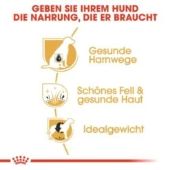 ROYAL CANIN Bichon Frisé Adult 1,5 Kg -Zoofachgeschäft 9360ef399dd7991f4138416a3168c1b58cc56899 7f2fbf0f9eb0dedb42b1d34e34eb41ac36d13a97