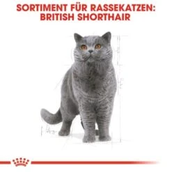 ROYAL CANIN British Shorthair Adult 2 Kg -Zoofachgeschäft 9365d2e698cecd605cd1a65c1f6739678bb8db93 b918cdac1f0d9facd4834fa0fbe07edcafd8fe8b