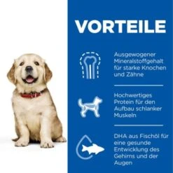 Hill's Science Plan Puppy Large Breed 16 Kg -Zoofachgeschäft 96858085f1bc3cabf1fc66738fe77472be488f76 52742026084 4