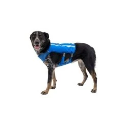 Ruffwear Trail Runner™ Weste Blau XS -Zoofachgeschäft 98442c3f4ada02dc38bbe918031392b2ba7e1943 1639640 de DE 57b978069b1aa95a705eb1af32811decb2e9cfecAOoih7