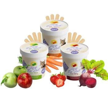 ChronoBalance Katzeneis Zum Selbermachen 3 Sorten 1 ChronoBalance Katzeneis Zum Selbermachen 3 Sorten