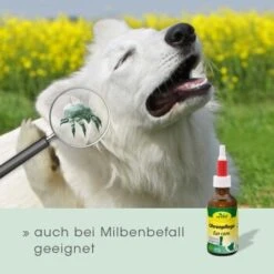 CdVet Ohrenpflege 50ml 14 CdVet Ohrenpflege 50ml -Zoofachgeschäft 996bc55aca7303d71af6872442ff47b85087fa20 1322257 de DE 913b3fb28cb4c7cbb549b216ae11f3b04ff5ee25VNtsyN