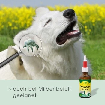 CdVet Ohrenpflege 50ml 7 CdVet Ohrenpflege 50ml – Bild 7