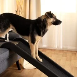 Lionto Hunderampe S -Zoofachgeschäft 9a27d9081358a028a1b72ead7080510044a8169e 1666004 de DE f64b973e1493edf7fe4f36b8d999583502db377cygQs3E