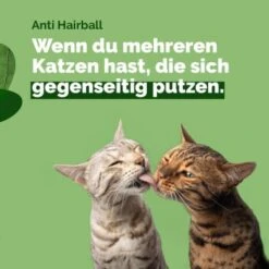 Almo Nature Almo Holistic Anti-Hairball 30x70g Mit Huhn -Zoofachgeschäft 9a54cc0b5b16a66888a5cf0f14d45fa382294bc6 1479696 3 de