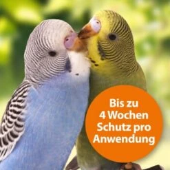 Ardap Spot-On Für Ziervögel & Brieftauben -Zoofachgeschäft 9b899314fb738b053685da335e4670f2d75786e9 1227326 de DE cbf8d013d4256d60577e01ac4d0d3b9782cb3ad0UKAghT