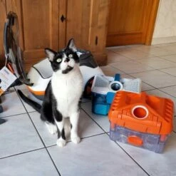 THOMAS Staubsauger -Zoofachgeschäft 9c1c711bdc998f487ed8c24bc96dc66adbb9a8a0 1406733 de DE c0788b12d8ca7e012c5c5d1a7cf9568fa3623544LvViH7