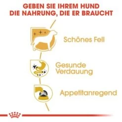 ROYAL CANIN Chihuahua Adult 12x85g -Zoofachgeschäft a1212bd4c85597fb805a0f74a8bc83dd87efc699 1239183 de DE rc