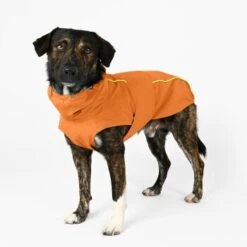 THE DOG IDEA Regenmantel Duke Orange XXXS 10 THE DOG IDEA Regenmantel Duke Orange XXXS -Zoofachgeschäft a1af009970fbe0d49b23b55aae3478442e9eb5e6 1473000 de DE e975935bd14ae10e3cbf4709cc9d05a6879844e2TUSiIw