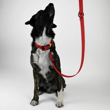 THE DOG IDEA Biothane Hundeleine Rot 3 THE DOG IDEA Biothane Hundeleine Rot – Bild 3