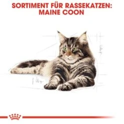ROYAL CANIN Maine Coon 12x85g -Zoofachgeschäft a5125a261db08921e9cf46ebc8fabd7e8cbf5fac 1229815 de DE rc 2