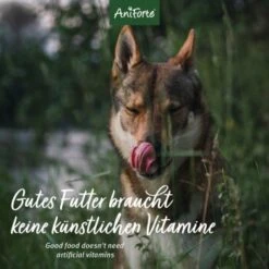 Aniforte WildBuffalo Büffel Mit Spinat 2,4 Kg -Zoofachgeschäft a5b406a0f5fdb2ece46da570317b1878f12755b3 1422176 de DE 12b8cfe33ee675107bc8329d05c3a48ecec8adba4Evgdf