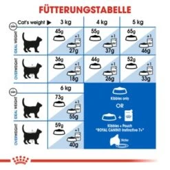 ROYAL CANIN Indoor 7+ 3,5 Kg 12 ROYAL CANIN Indoor 7+ 3,5 Kg -Zoofachgeschäft a607bc8cb63704aa662698fe355ecbb77096e7a5 fab27e5960ddaac4499a4a76a805f1d72f96d8ef