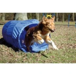 Dobar Agility Tunnel, 60 X 500 Cm -Zoofachgeschäft a70db425a55e65c0dd33cb4658677f3cead28e72 3dc1d9596c73e287c8ea8bc83f8445abe7adc92a