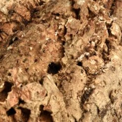 HappyBird Kork Sitzbrett XL -Zoofachgeschäft a774c45f38b43354bd86d7a04e9ad16d0eaf1a6c 1416847 de DE 4d26871b626013948e4cb08465e286887bfaaa137dh8BQ