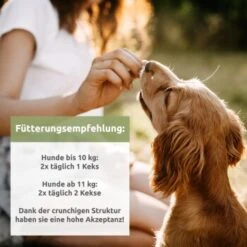 Aniforte Hanfkekse 200g -Zoofachgeschäft a7e0572484f9fe6ba37a77d6bd5bc40268a74abe 1480470 de DE 46ac5b30e7ecb574f59967b071dd7bc14252b77dI4cyvf