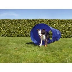 AniOne Agility Set 15 AniOne Agility Set -Zoofachgeschäft a9045f37e3b9a3f15139e57306551989ab21aec1 2dc906b772e837b2770e0f896237c640992fd5d2