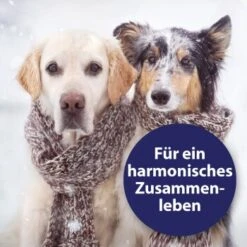Canosept Home Comfort Beruhigungsspray Für Hunde 100 Ml -Zoofachgeschäft adccfc5a19c76ad9b128183d6445b9a0ce37b36d 1265539 de DE Canosept 2