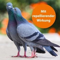 Ardap Spot-On Für Ziervögel & Brieftauben -Zoofachgeschäft ae58a2b8111f99b0d5f141011cb4d5292b63d3c9 1227326 de DE 177446f52341c8e701898dbab4eaebf3cf8dbc70uMQM7k