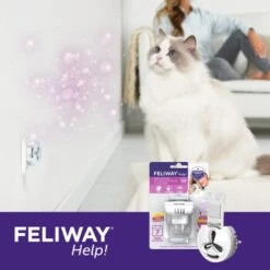 Feliway Help! 7 Tage Start-Set Zur Vorbeugung Von Stress -Zoofachgeschäft af221c57f6ccc9e6f3f372e52503a2d7b9cf22d4 1380136 5