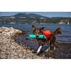 Ruffwear Lunker™ Spielzeug Blau/ Türkis 20 Ruffwear Lunker™ Spielzeug Blau/ Türkis -Zoofachgeschäft b1ff74faaf51c648517e284bc677372b2de917b1 1364294 de DE 872baa13c3c684e3cd884d6a02e37e7e22ad686cLNC7EY