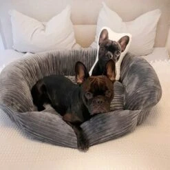 Wallace & Jones Hundebett Cordo Dunkelgrau S -Zoofachgeschäft b2a6809ea4cda92d483cec8a310d5506dd3e1034 1449005 de DE ca672695c629536ba83851f030e1af44afa2847927w0ii