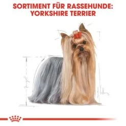 ROYAL CANIN Yorkshire Terrier Adult 1,5 Kg -Zoofachgeschäft b2f5184395c498d76eeaf1a3805977dc6baac69a 8525a84bc8bceef91a6ba9ef3810aac1dcf98bbb