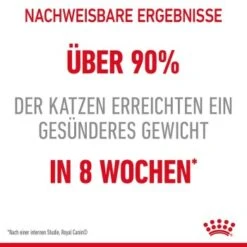 ROYAL CANIN Light Weight Care 8 Kg -Zoofachgeschäft b702863cfb66ffcd9a58e41e369f14387f6c50b9 1332703 3