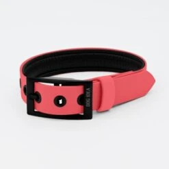 THE DOG IDEA Biothane Halsband Coral Koralle M -Zoofachgeschäft b7fe16fc921b2bcba328d45611a408d7405444fe 1481102 de DE 29ea273c3dfe4a43cc9376332d0f6335f89604dcwos5u2