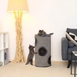 Lionto 70cm Kratztonne Mit Sisal Kratzturm Grau -Zoofachgeschäft b9c579c02bd4b27a7cd2c8ab87d2c0034bf4adec 1657064 de DE e973731c60583050766ad0958ba52886adfe9853tk4Wok