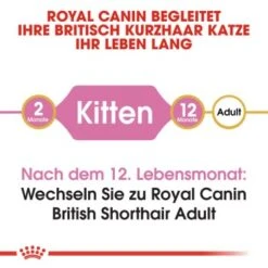 ROYAL CANIN British Shorthair Kitten 2 Kg -Zoofachgeschäft b9dcf6abb7a4919bf6fc18b953f6e6aa3597ecf5 b5fbd35505db68c05c613e1187818406628392a1