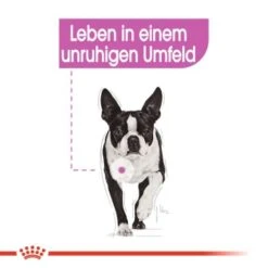 ROYAL CANIN Relax Care Mini 3 Kg -Zoofachgeschäft bc21685a55dde6700f1426e5dcfbc4c03ca223ed f8d247f6eb11347905c067951ee80800ad541e52