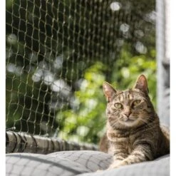 Trixie Katzenschutznetz Cat Protect 2 M, 1,5 M -Zoofachgeschäft bc6f0b8052c3a5b997776619d64762770aac1a9d 1017572 de DE trixie schutznetz wb2