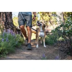 Ruffwear Chain Reaction™ Halsband Blau L -Zoofachgeschäft bda880cf20a0d4ecfc42a492d3afe2b836b658b4 1651441 de DE d0f63a8cbba2a216d104e913e59205811773db0fOOdjoJ