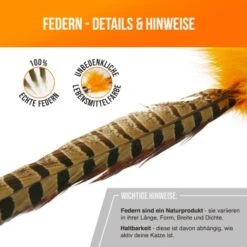 Schlitzohr Federwedel Birdy 3er Pack -Zoofachgeschäft bdc9ecaec43f47b36019280ae7e788c534174412 1659562 de DE 36b11fb8804ed0ab3e1a5483fcd8be597379266daxQShR