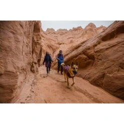 Ruffwear Overcoat Fuse™ Hundejacke Violett XXS -Zoofachgeschäft be1df80a58a073c4a06905f9850fdb02868343c3 1639761 de DE 6b99be5157e3de813670a6d4268b03b177d774edbPJ4YO