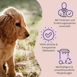 FAVLY Petfood Premium Naturkauartikel Rinderlunge 900 G -Zoofachgeschäft bf0295fc51175eb9c0e295a7e2fc491189dc6682 1473997 de DE a2c9f8d86d80fc90ca8f9c923a08051ec130ef8deOeplF