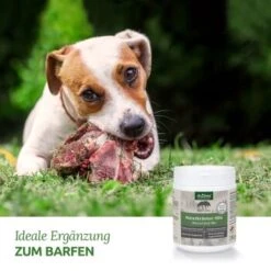 Aniforte BARF-Line Naturkräuter Mix 250g 8 Aniforte BARF-Line Naturkräuter Mix 250g -Zoofachgeschäft c578d8ead8b853abfea2a82ca4591ace6b681e88 1477973 de DE f5c2f4103e3264129f0109b6cb84b47eaa0188a6cBLOvK
