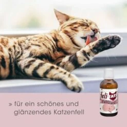 FeliTATZ FellGlanz -Zoofachgeschäft c632389ff5554b3f77a4c07b5dcd4d35f428a2c1 1666313 de DE aef5012fb4dd575d53ef4492b6faf7c4f11752ddfl85CX