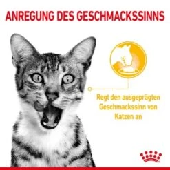 ROYAL CANIN SENSORY Taste In Soße Für Wählerische Katzen 12x85g 15 ROYAL CANIN SENSORY Taste In Soße Für Wählerische Katzen 12x85g -Zoofachgeschäft c751e3e6549d8121352adbb96ff4d6211cb9969c 5358985e70471d76b714fd086a825163a25b9201