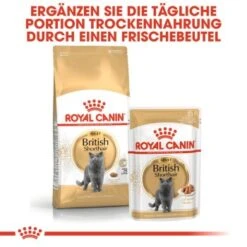 ROYAL CANIN British Shorthair Adult 2 Kg -Zoofachgeschäft c753bd00548b3887de38170504d89850cc579133 6ad27fa67d71d664216d6c9c00894ac1ba874172
