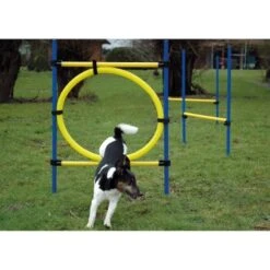 Dobar 3-teiliges Agility Sprung-Set,, Inkl. Tragetasche -Zoofachgeschäft c7c9dd298510f0bd74d586405ecbd396df04c759 313726f2dd166c5ec13855d4374275bbe5eeeeec